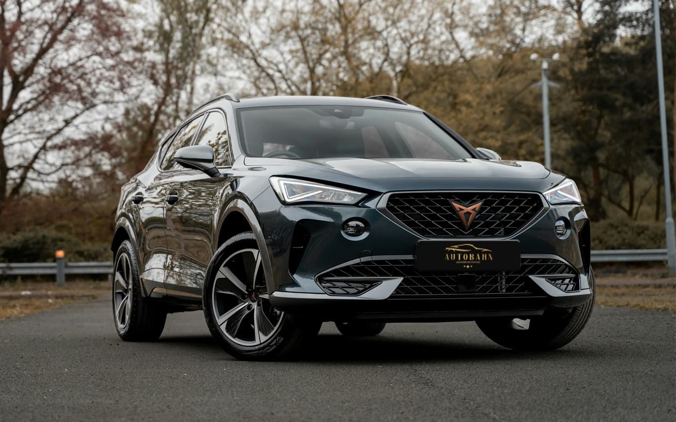 Cupra Formentor Gris